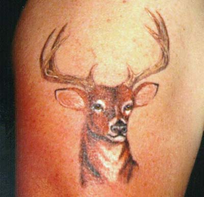 Picture of Buck Cherry's tattoo … Buck Cherry Tattoos: Pictureof the band Buck Cherry. Tattoo Gallery – : Musicians: Buck Cherry …