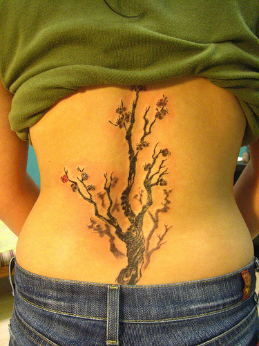 Back Japanese Cherry Blossom Tattoo Designs and Symbol